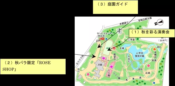 【旧古河庭園】11/11～12/３開催　紅葉とバラ、和と洋の秋