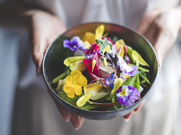 【ギャリア・二条城 京都】 シャルル・ド・カザノーヴ 「ストラディヴァリウス」×眞蔵×ヴァイオリン演奏 一夜限りのスペシャルディナーイベント開催