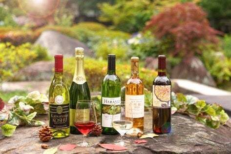 遅めの夏休みにお薦め。大江戸温泉物語、山梨県の温泉宿で9月1日、かに食べ放題が楽しめる秋のまんぞくバイキングがスタート。