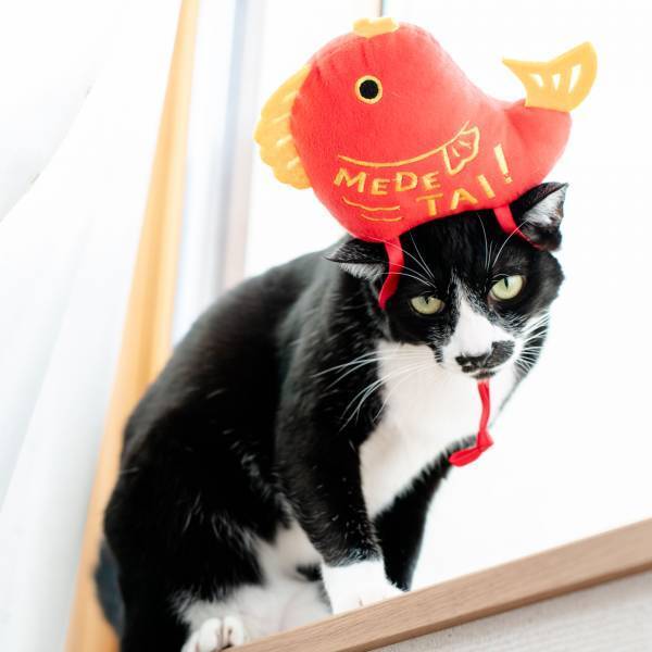 お正月アイテムが早くも登場！ 縁起の良いアイテムで来年も良い年を迎えよう！