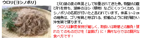 びわ湖の恵みクルーズ【夏】 ウロリ漁見学とビワマスin沖島を開催