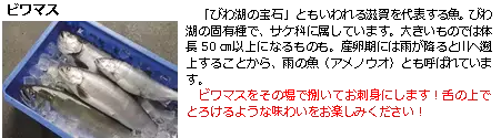 びわ湖の恵みクルーズ【夏】 ウロリ漁見学とビワマスin沖島を開催