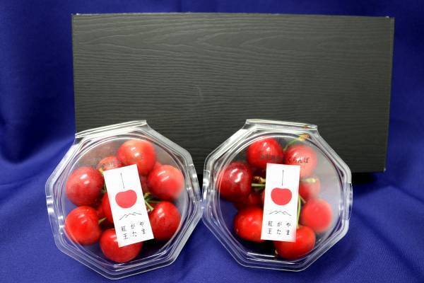 ２０２３年デビュー　新品種のさくらんぼ「やまがた紅王」が 「ＪＡタウン」のショップ「小さなＹＡＭＡＧＡＴＡマルシェ」で、５月２６日から 新発売！