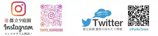 小石川後楽園　「よくわかる！梅講座」2月19日（日）11時半～、13時半～開催！