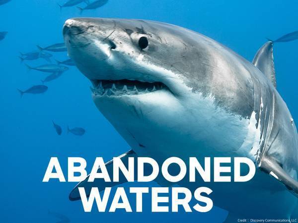 コロナ禍、静寂の海で巨大ホホジロザメの謎に迫るドキュメンタリー 『シャーク・ロックダウン』 5月13日（土）よる9時～BS12 トゥエルビで放送