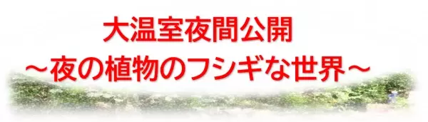 【神代植物公園】8/25(金)、8/26(土)「大温室夜間公開」を開催します！