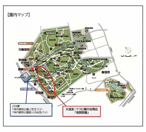 【神代植物公園】8/25(金)、8/26(土)「大温室夜間公開」を開催します！