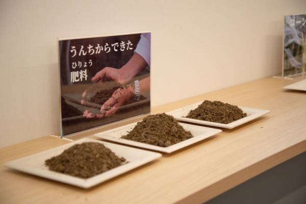 ライフ×カネカ「親子向けSDGs食育イベント」を初開催！