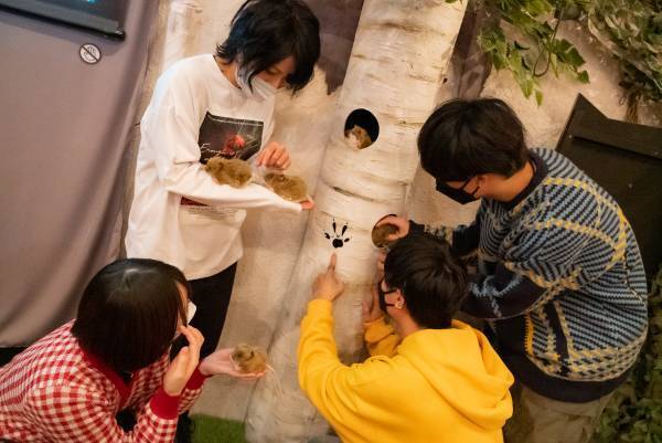 リアル脱出ゲーム×ゴールデンカムイ『大雪山に潜む刺青囚人からの脱出』 いよいよ最後の開催地、大阪会場詳細解禁ッ‼