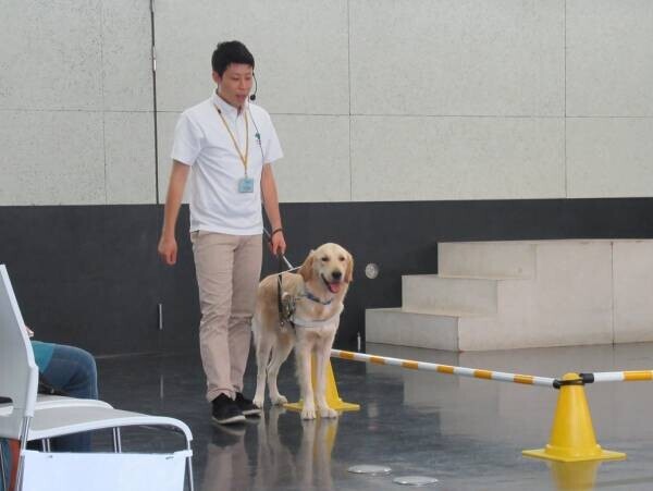 ～10年後の未来を創る教育～　盲導犬ユーザーから共生社会を学ぶ 「全国一斉盲導犬教室」開催