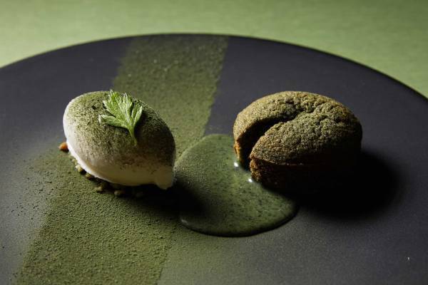 【トマム】雪解け水が流れる小川のほとりで山菜を味わう 「ワイルドハーブディナー」提供～お客さま自ら収穫し、アウトドア体験が楽しめます～｜期間：2023年5月8日～31日