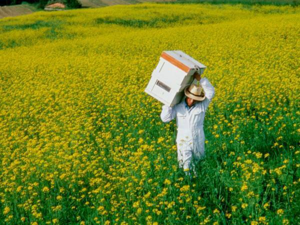 はちみつパワーで暑い夏を乗り切ろう！はちみつ専門メーカーのクインビーガーデンが「はちみつの日キャンペーン」を開催【7月20日(木)〜8月3日(木)】