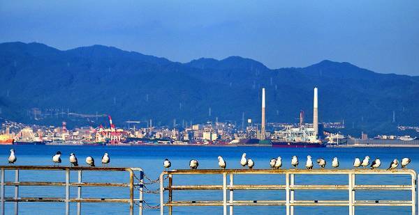 徳山下松港開港100周年想い出写真コンテスト受賞作品決定