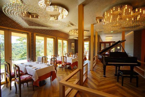 『オペラと映画音楽』6月17日、18日に開催