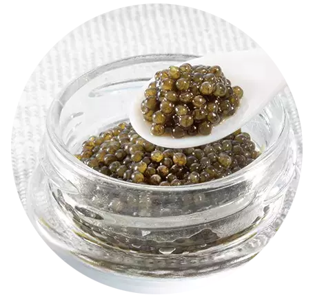 お中元ギフト5月18日（木） 店頭、オンラインショッピングで承りスタート