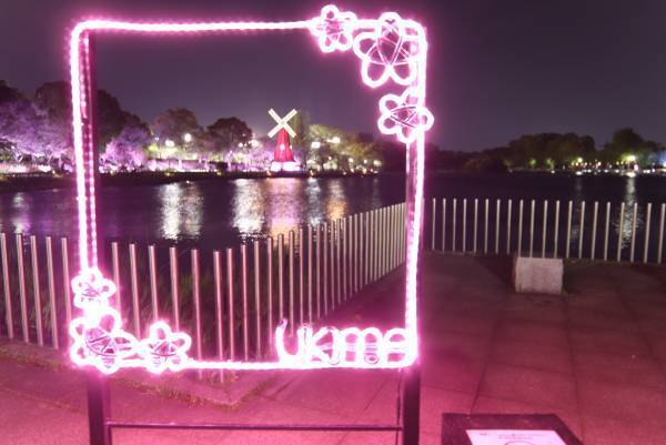 【花と光のムーブメント】サクラソウの特別公開は4/17まで！「浮間公園×チューリップ」開催中！