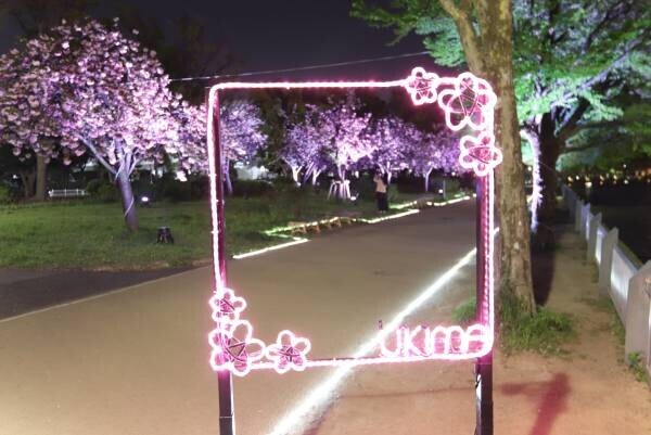 【花と光のムーブメント】サクラソウの特別公開は4/17まで！「浮間公園×チューリップ」開催中！