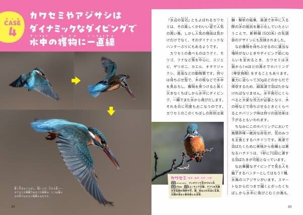 あの鳥、なにを食べているの？　鳥たちの謎多き食卓事情にせまる！『鳥の食べもの＆とり方・食べ方図鑑』が4月4日に発売。