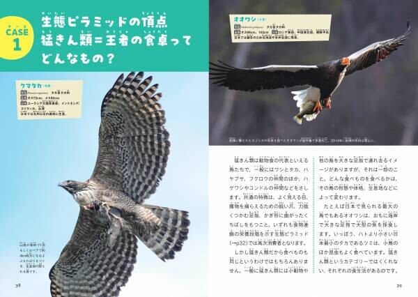 あの鳥、なにを食べているの？　鳥たちの謎多き食卓事情にせまる！『鳥の食べもの＆とり方・食べ方図鑑』が4月4日に発売。