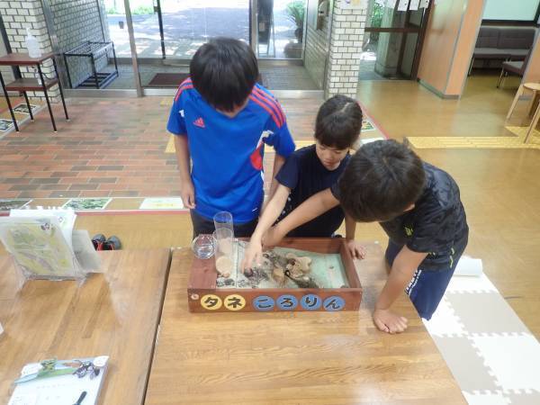 【植物多様性センター（神代植物公園）】今年度よりチルドレンズミュージアムプロジェクトをスタート！～12月から「えほんコーナー」を新設！～