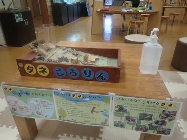 【植物多様性センター（神代植物公園）】今年度よりチルドレンズミュージアムプロジェクトをスタート！～12月から「えほんコーナー」を新設！～