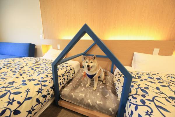 西伊豆で秋のグルメ旅！新お食事プランが登場 愛犬と泊まれる温泉旅館で海の幸を堪能