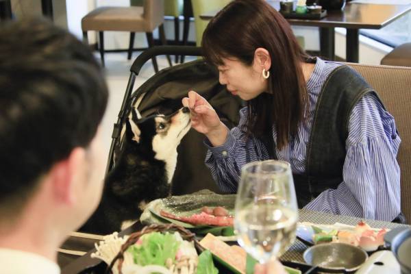 西伊豆で秋のグルメ旅！新お食事プランが登場 愛犬と泊まれる温泉旅館で海の幸を堪能