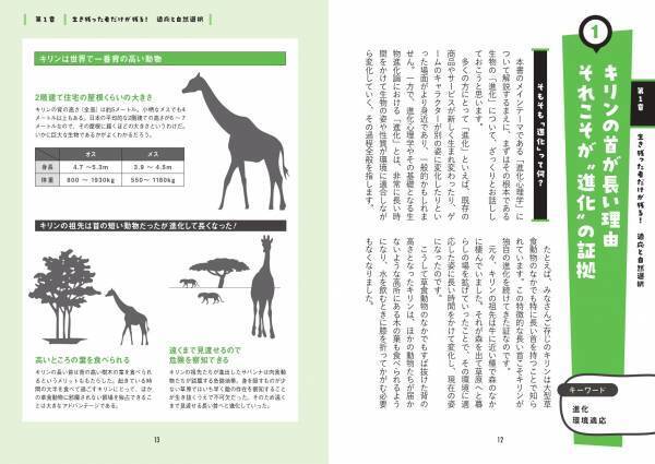 『進歩した文明と進化しない心　進化心理学で読み解く、私たちの心の本性』が11月17日に発売