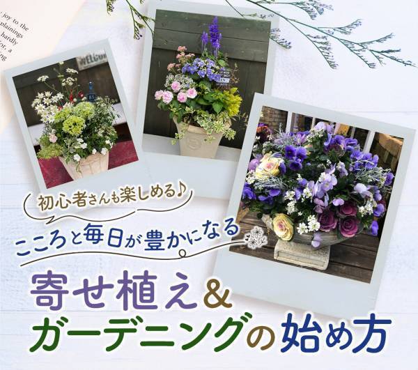 ガーデニング初心者でも安心。講師歴30年のプロのお花屋さんによる「花の楽しみ方」の無料オンラインお話会を1月22日開催。