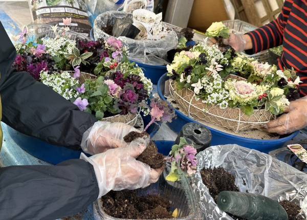 ガーデニング初心者でも安心。講師歴30年のプロのお花屋さんによる「花の楽しみ方」の無料オンラインお話会を1月22日開催。