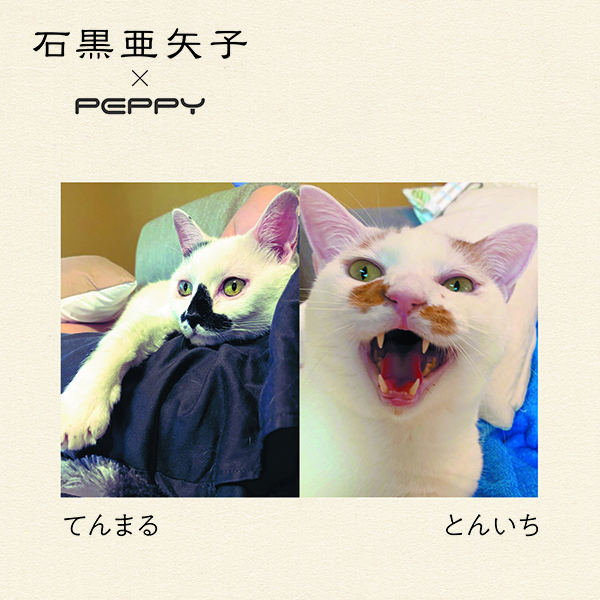 招福ごろん猫爪とぎ発売！石黒亜矢子×PEPPYコラボ かわいい招き猫達をお家にお迎えしよう