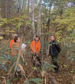 アファンの森の中に『Afan Heulwen Woodland by Hikari Miso （アファン、それは陽光の森 - ひかり味噌 共創） 』 が誕生