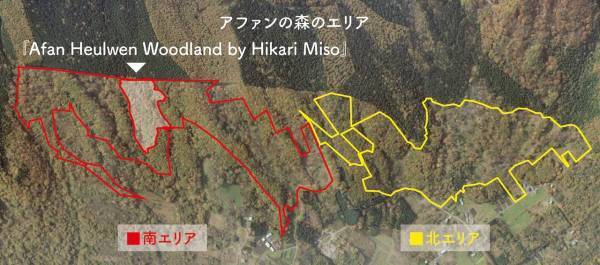アファンの森の中に『Afan Heulwen Woodland by Hikari Miso （アファン、それは陽光の森 - ひかり味噌 共創） 』 が誕生