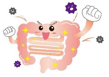 ～腸の元気を応援する大正製薬『アレルギーと健康管理に関する意識調査』を実施～