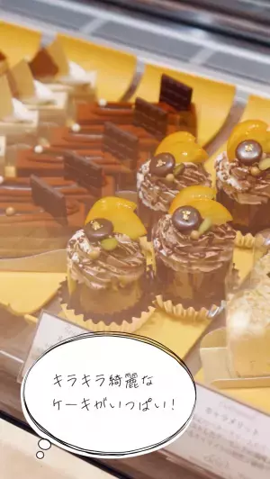 実際のお客様にモデルとしてご出演いただきました！ 淀屋橋odonaの店舗をめぐる『How to odona』PR動画-第2弾- を12/8より公開