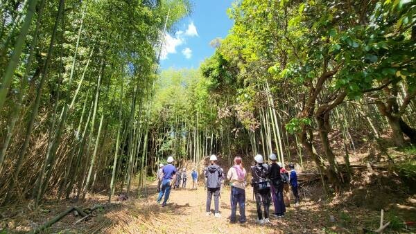【神戸市須磨区】竹ってすごい！カーボンニュートラルを楽しく学ぶ里山遠足 12月3日（日）開催！