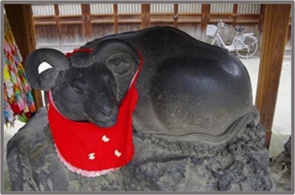 2024年１月２日・３日　東京水辺ライン　初詣クルーズ「牛嶋神社で昇殿参拝・厄除祈願」