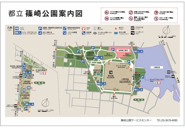 【篠崎公園】アジサイまつり開催！6月18日（日）