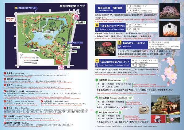 【速報！】六義園のしだれ桜が見ごろになりました！　≪文京区≫