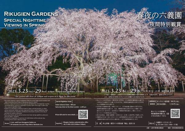 【速報！】六義園のしだれ桜が見ごろになりました！　≪文京区≫