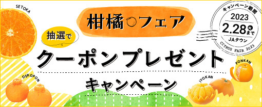 今が旬のいちごと柑橘の人気品種が勢揃い！ 産地直送通販サイト「ＪＡタウン」でいちごフェア＆柑橘フェアを開始！