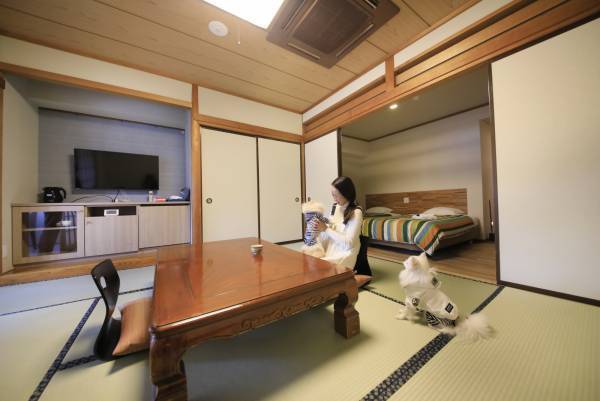 初めてのわんちゃん旅を応援！愛犬と泊まれる温泉旅館「ゆるり西伊豆」 5つの嬉しい特典付き新プラン販売開始