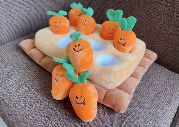 初めてのわんちゃん旅を応援！愛犬と泊まれる温泉旅館「ゆるり西伊豆」 5つの嬉しい特典付き新プラン販売開始