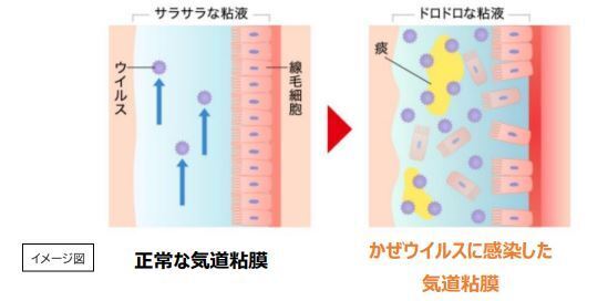 子どもは「のどの痛み」に気づきにくい!? ～かぜ薬の臨床試験結果から考察～