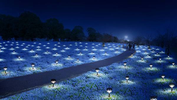 今春は舎人公園と浮間公園で同時開催！　桜とチューリップ、ネモフィラでカラフルに彩る「花と光のムーブメント」3/24～4/23開催