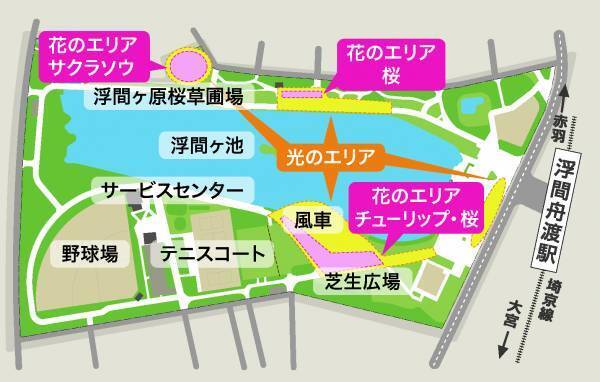 今春は舎人公園と浮間公園で同時開催！　桜とチューリップ、ネモフィラでカラフルに彩る「花と光のムーブメント」3/24～4/23開催