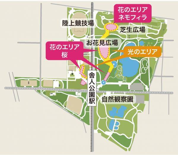 今春は舎人公園と浮間公園で同時開催！　桜とチューリップ、ネモフィラでカラフルに彩る「花と光のムーブメント」3/24～4/23開催