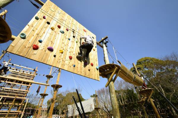 作って！飛ばして！登って！大変身⁉ ワクワクが止まらない！ニジゲンノモリの秋イベントをHP公開中