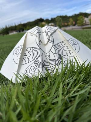 作って！飛ばして！登って！大変身⁉ ワクワクが止まらない！ニジゲンノモリの秋イベントをHP公開中