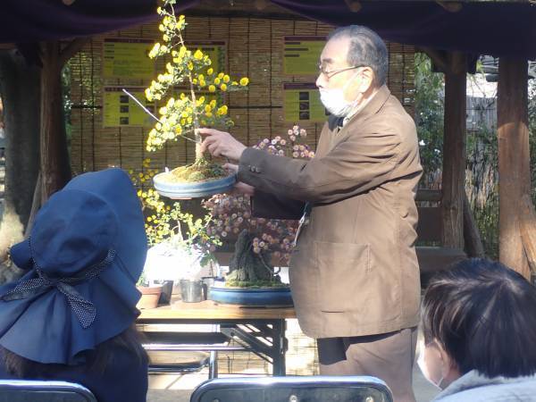 【11/23まで開催中】向島百花園『菊が彩る江戸花屋敷』